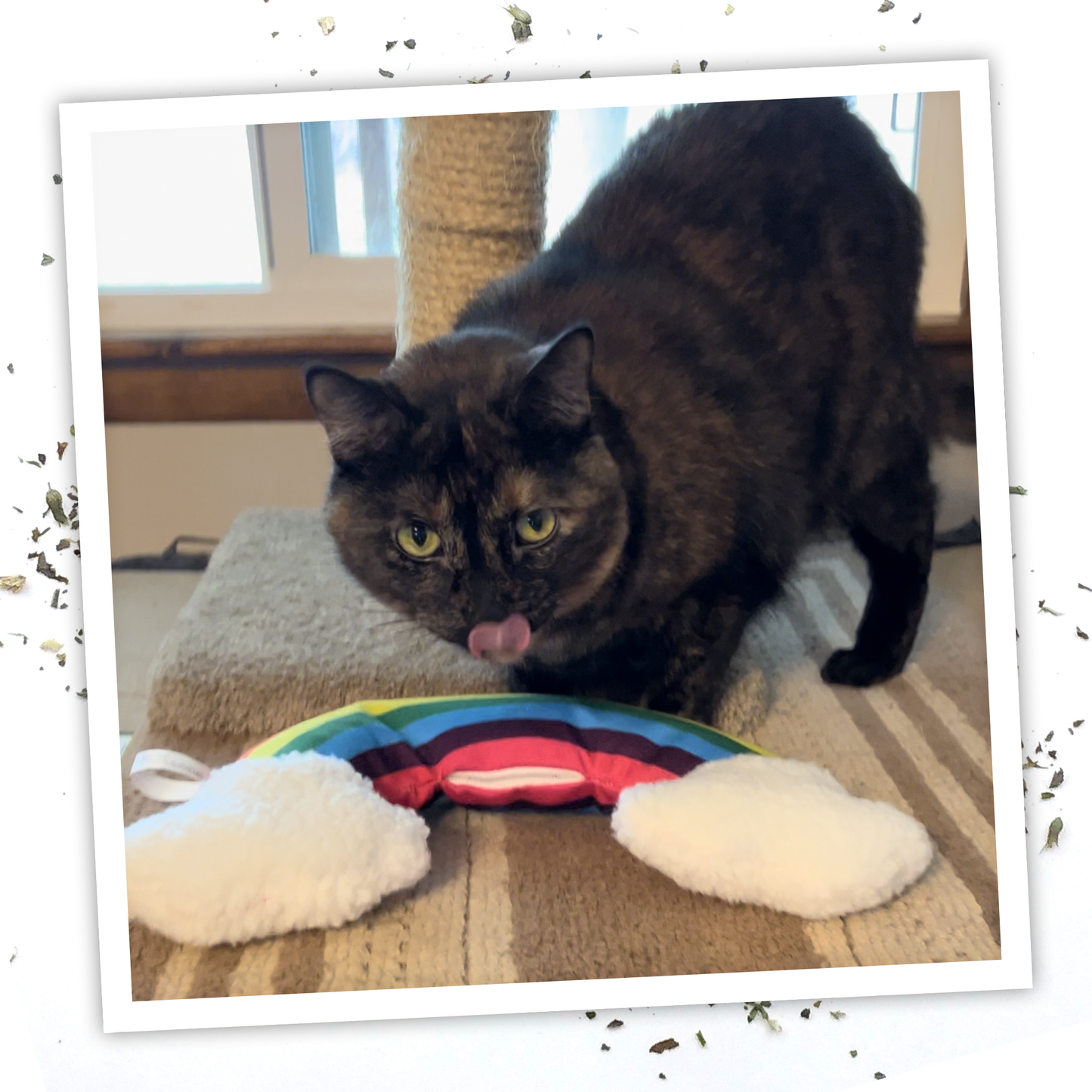 Get Kickin' Refillable Rainbow Kicker Catnip Cat Toy