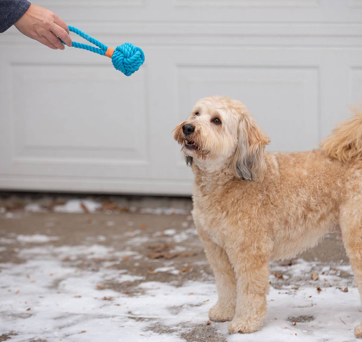 ThoozyPet Ball Tug Rope Dog Toy with Handle Orange 3"