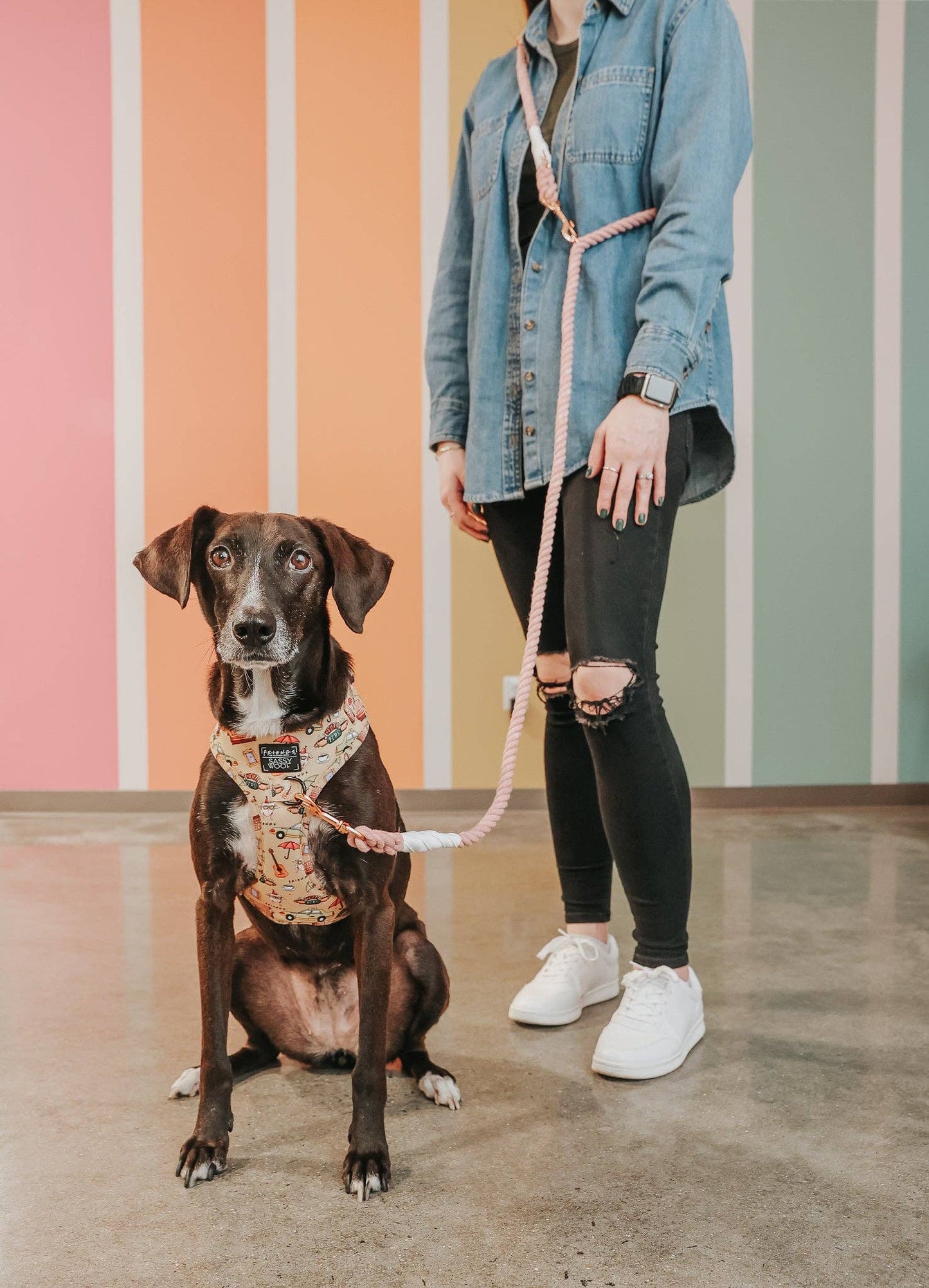 Hands Free Rope Leash - Rose All Day: 7 feet