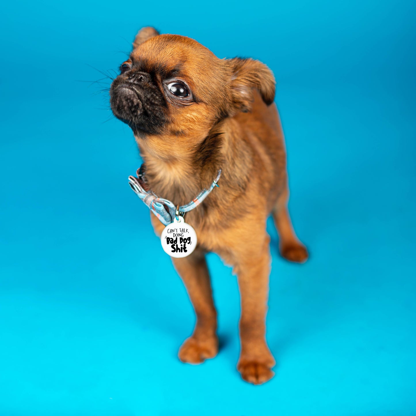 Personalized Pet ID Tag w/ Scannable Code - Bad Dog Shit: Engraved QR Code / Small 1"