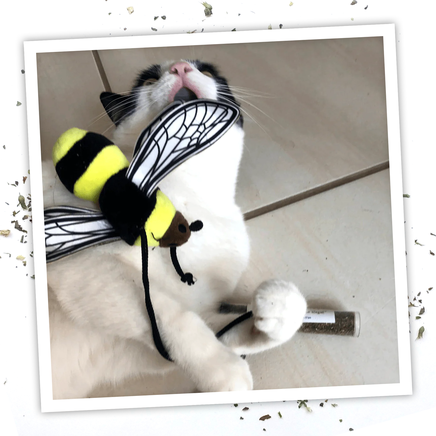 Get Buzzed Refillable Bee Catnip Cat Toy