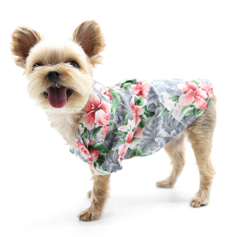 Tropical Floral Shirt: Blue / S