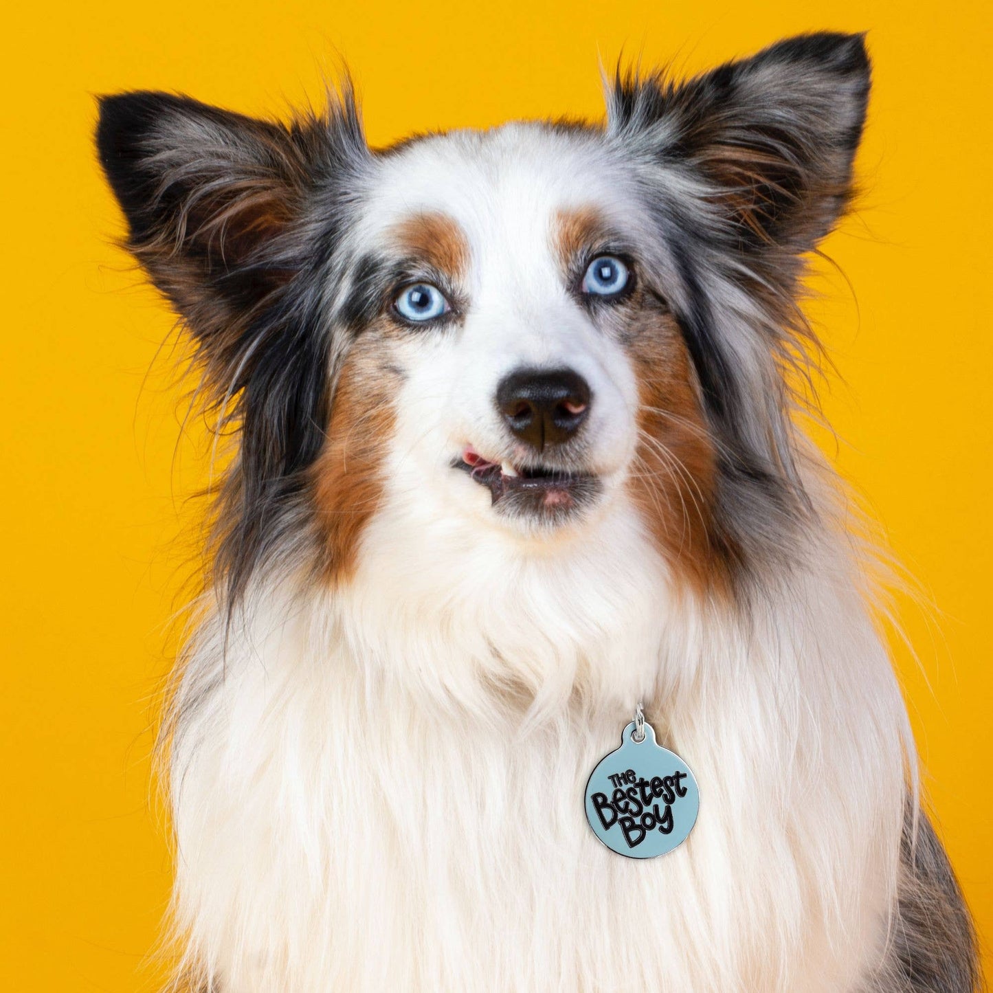 Personalized Dog ID Tag Scannable QR Code - The Bestest Boy: Engraved QR Code / Small 1"