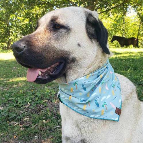 Beach Pet Bandana: Small