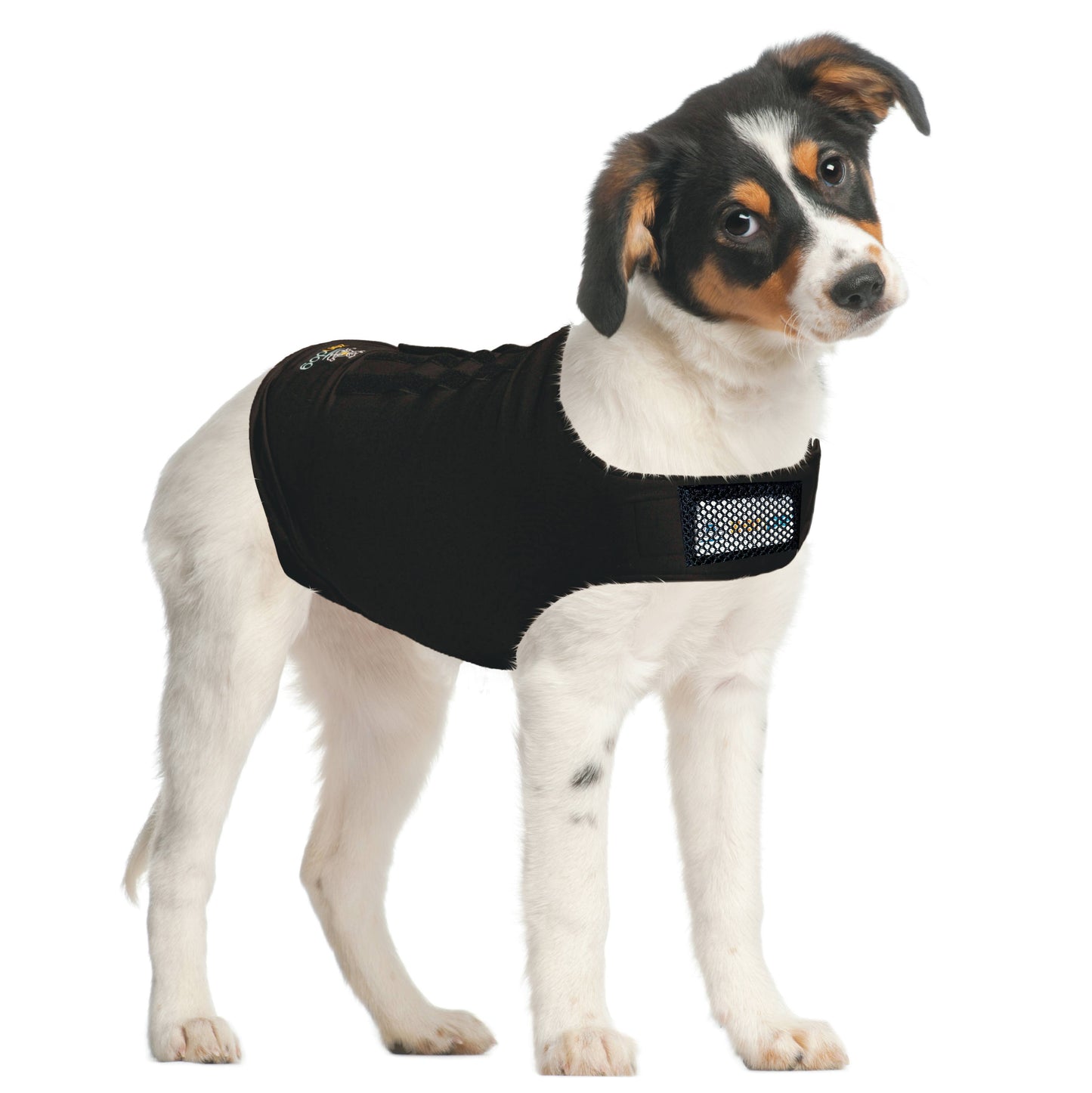 ZenDog+ (Calming Shirt, Shed Control Garment, Recovery Shirt: Small
