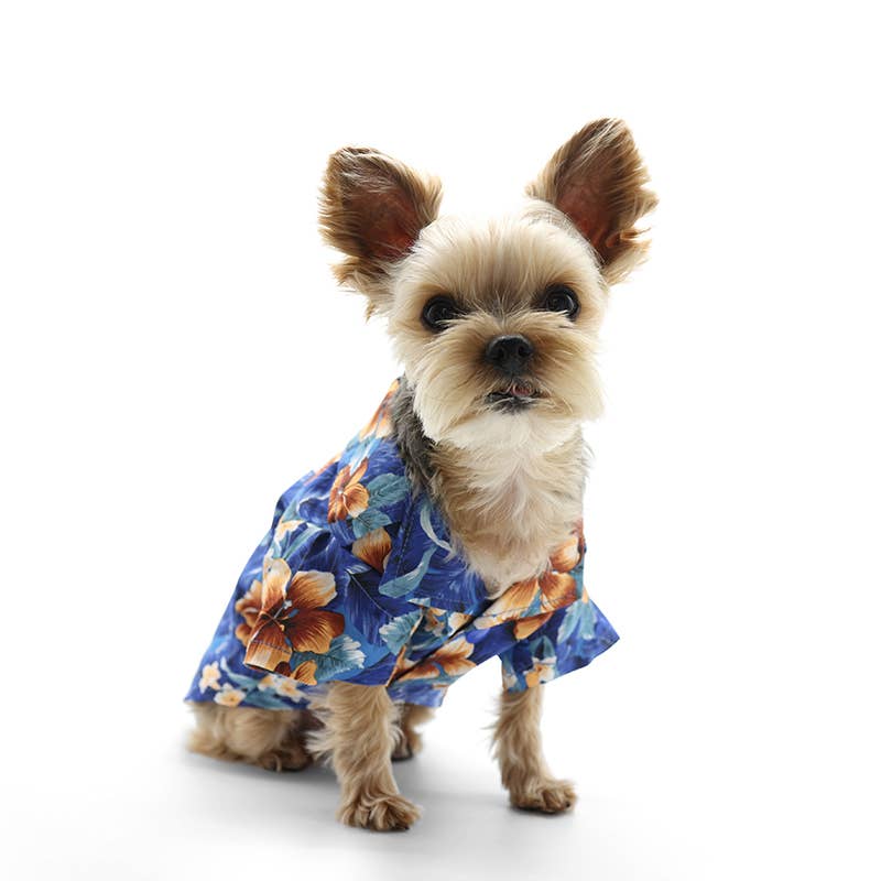 Tropical Floral Shirt: Blue / L