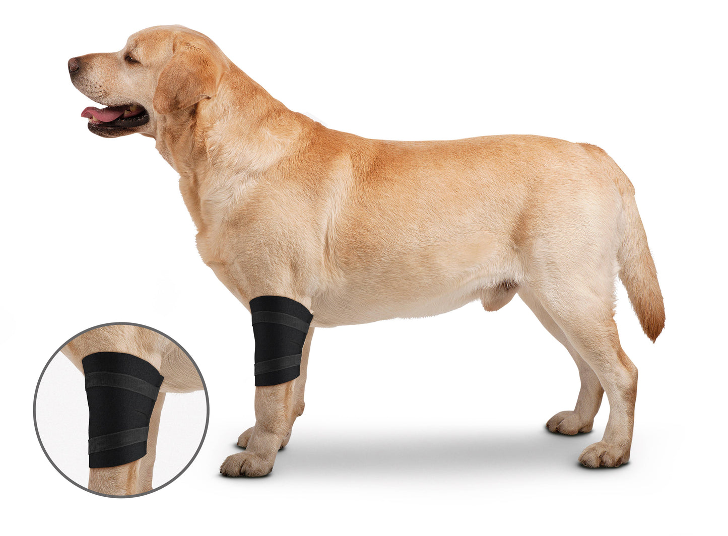 OrthoWrap Elbow Protector: Medium