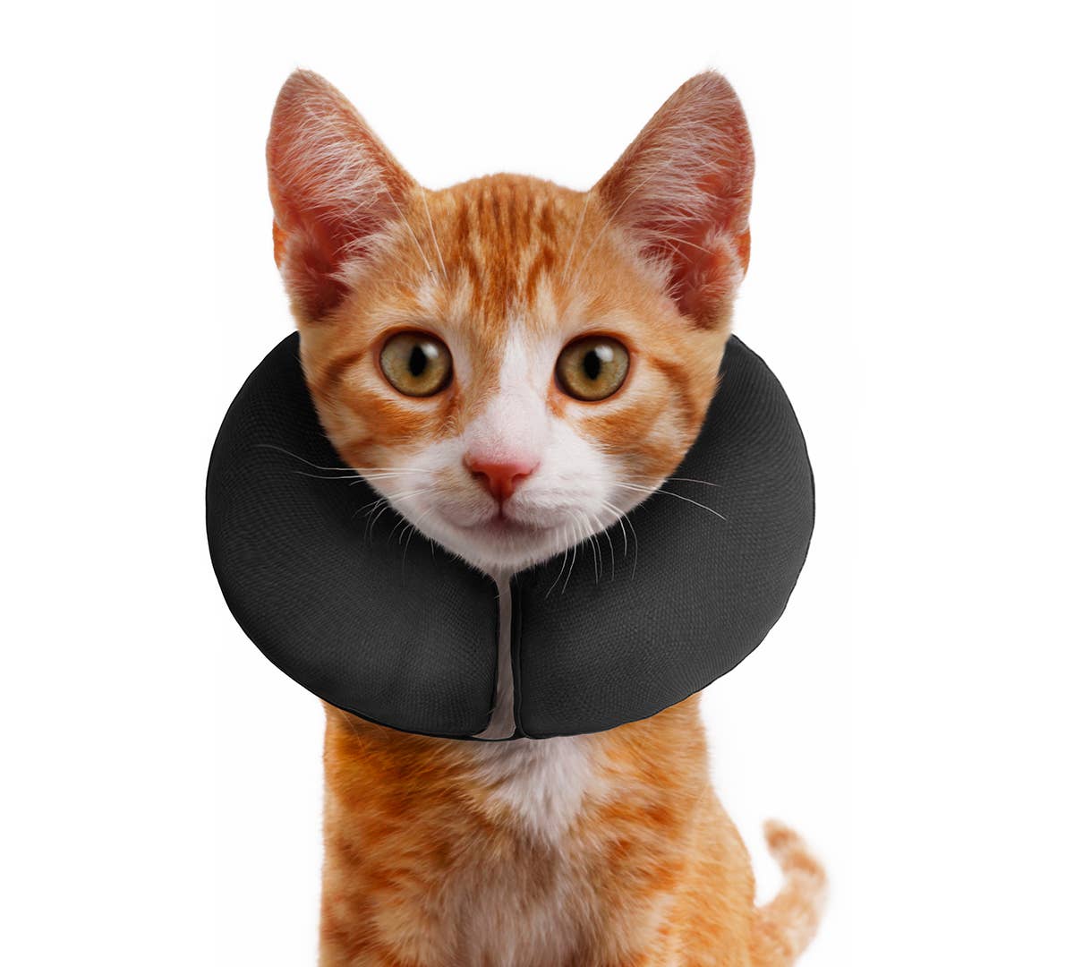 ZenCollar - Inflatable Recovery Collar: Small (6-9 in.)
