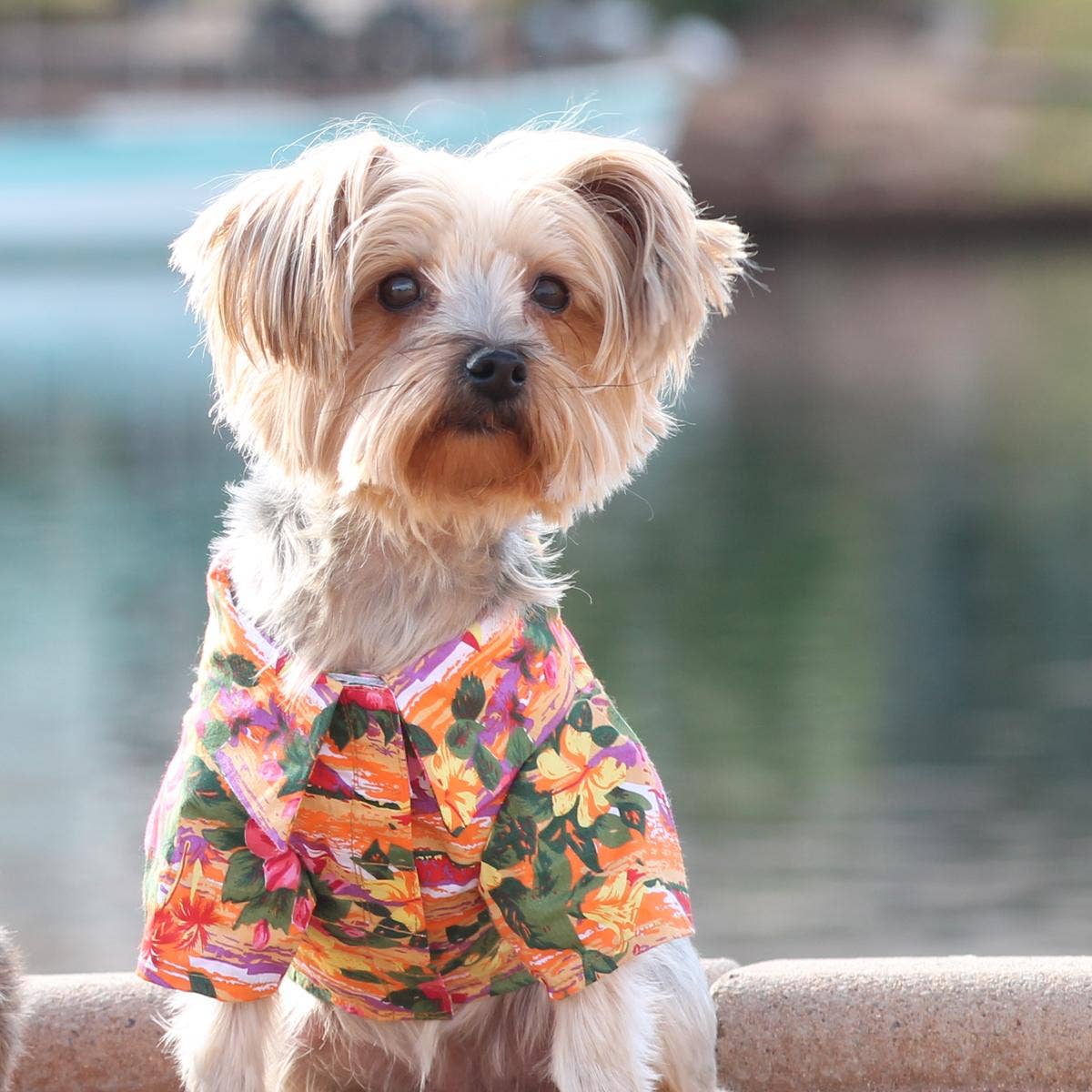 Hawaiian Camp Shirt - Sunset Hibiscus: 2X-Large