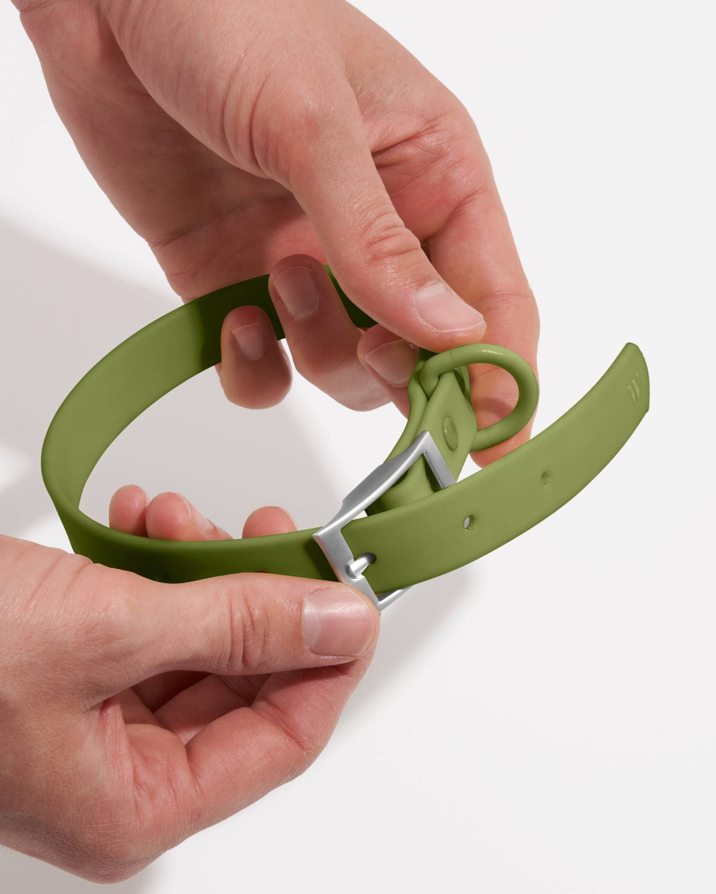 Adjustable Waterproof Fashion Dog Collar: Spruce / X-SMALL
