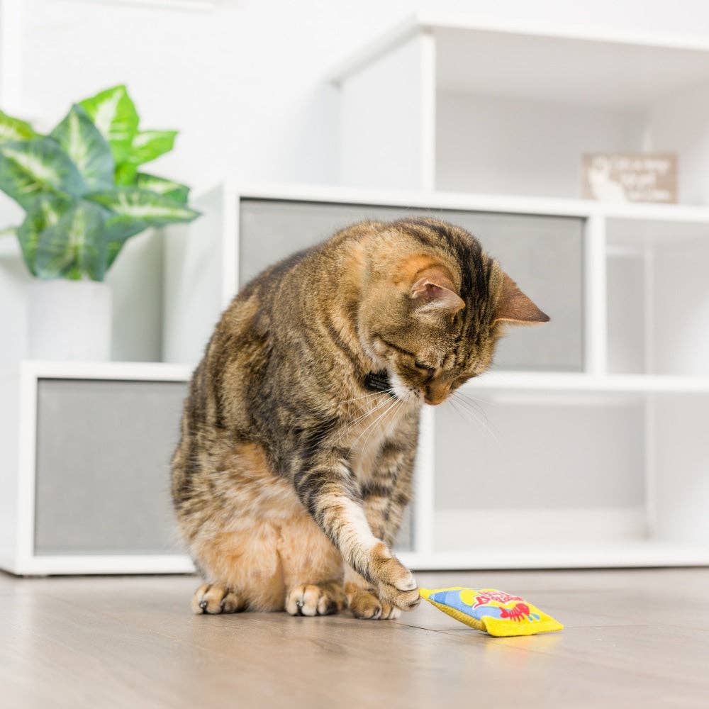 Sweetest Fish Cat Toy: One Size