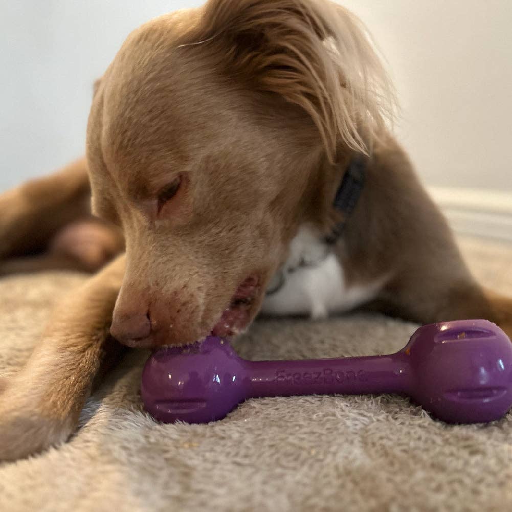 Freez Double: Purple / UP TO 140LBS DOGS