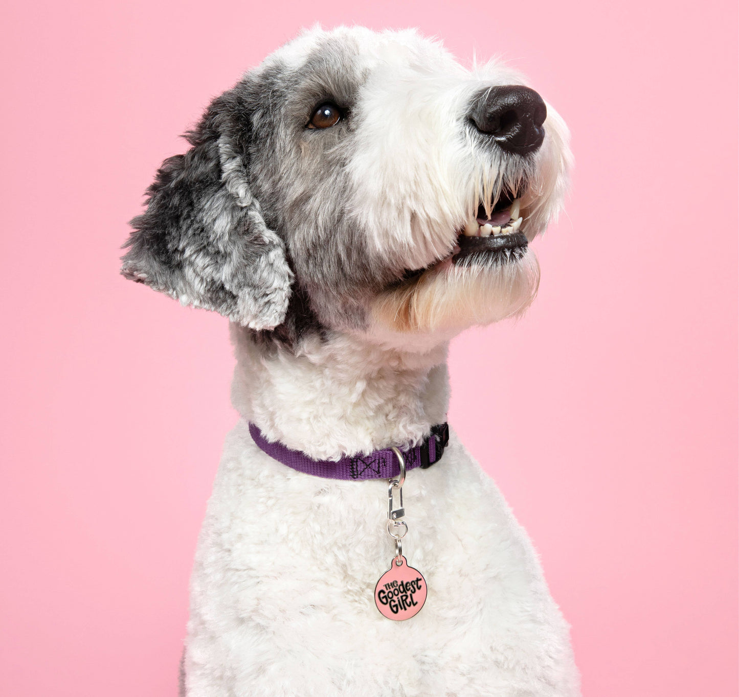 Personalized Dog Tag with Scannable QR Code - Goodest Girl : Engraved QR Code / Large 1.25"