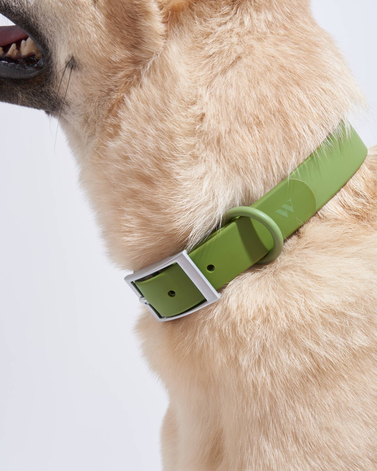 Adjustable Waterproof Fashion Dog Collar: Moonstone / X-SMALL