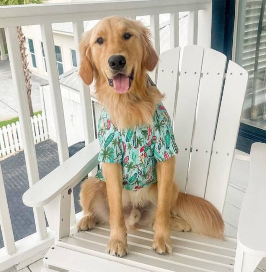 Hawaiian Camp Shirt - Surfboards and Palms: X-Small