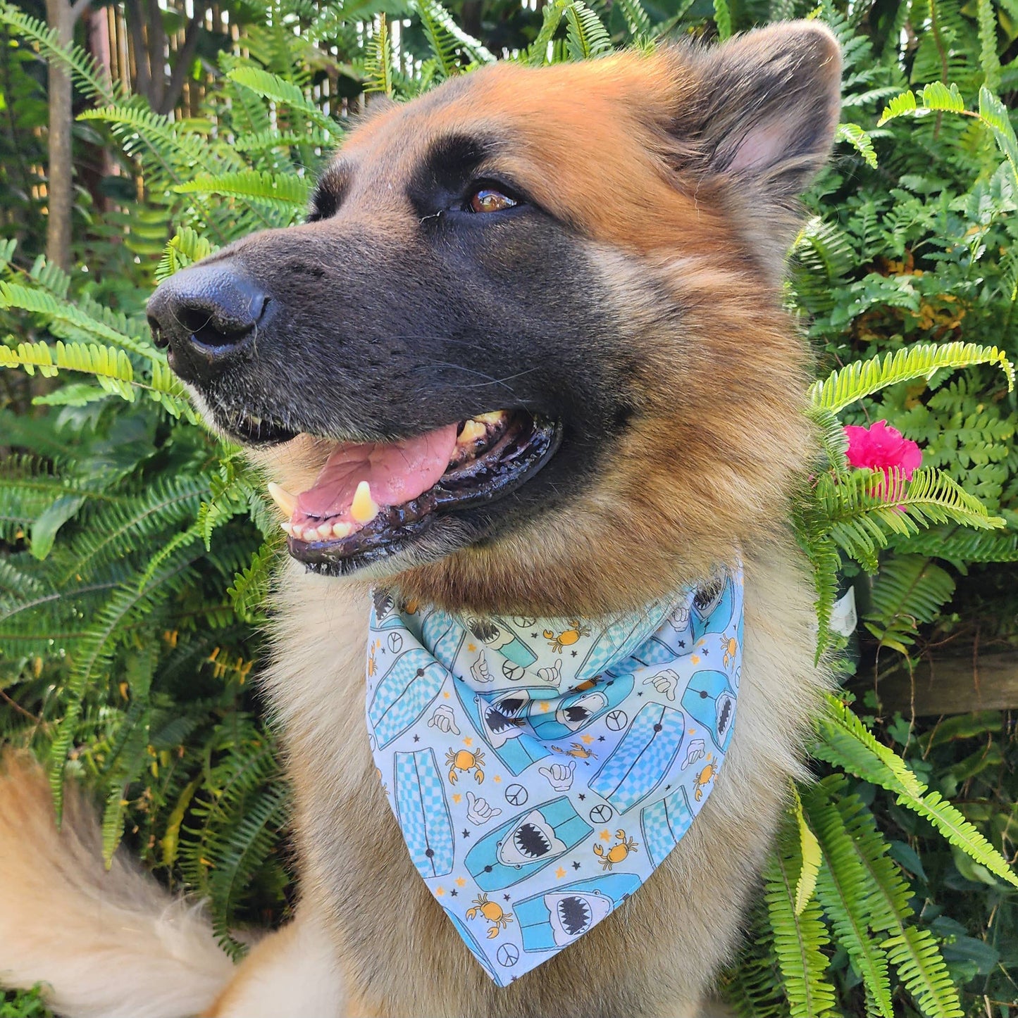 GigiWhy Reversible Pet Scrunch Bandana- Sharks & Shakas: Small