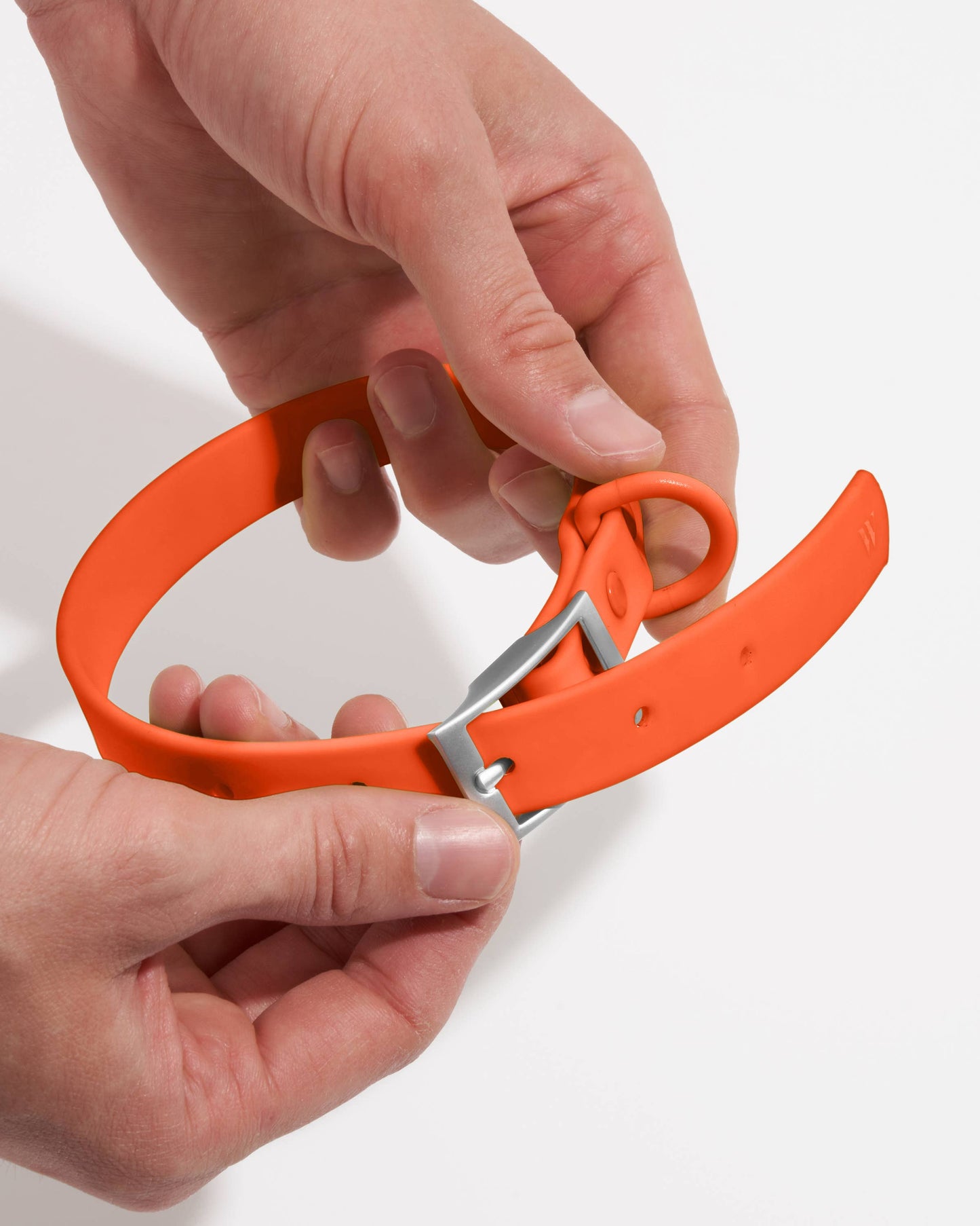 Adjustable Waterproof Fashion Dog Collar: Strawberry / SMALL