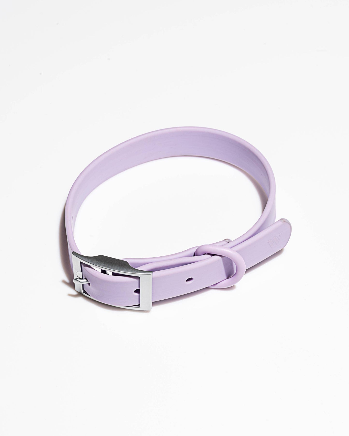 Adjustable Waterproof Fashion Dog Collar: Holographic Lunar / MEDIUM