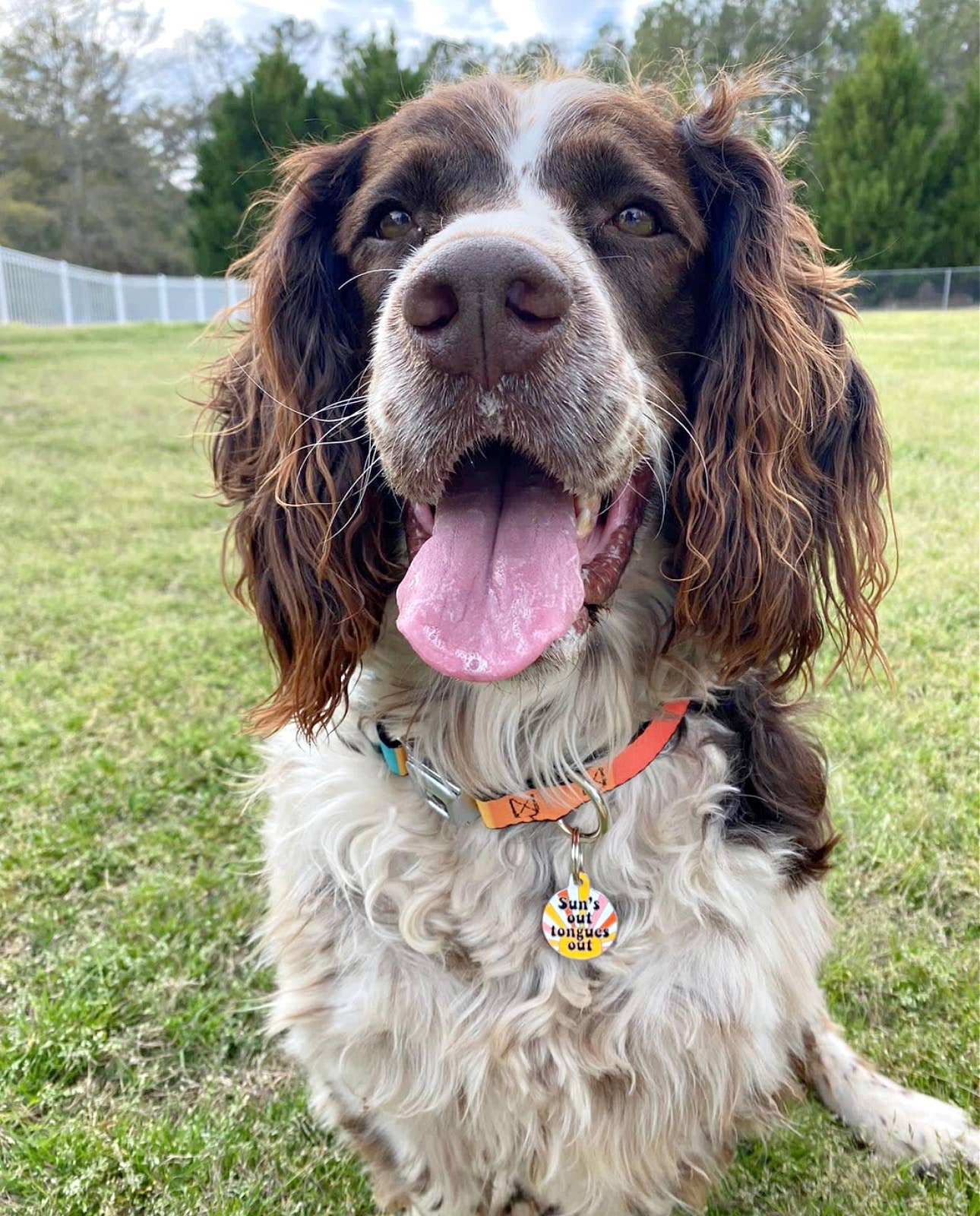 Dog ID Tag with Personalized QR Code - Suns Out Tongues Out: Engraved QR Code / Large 1.25"