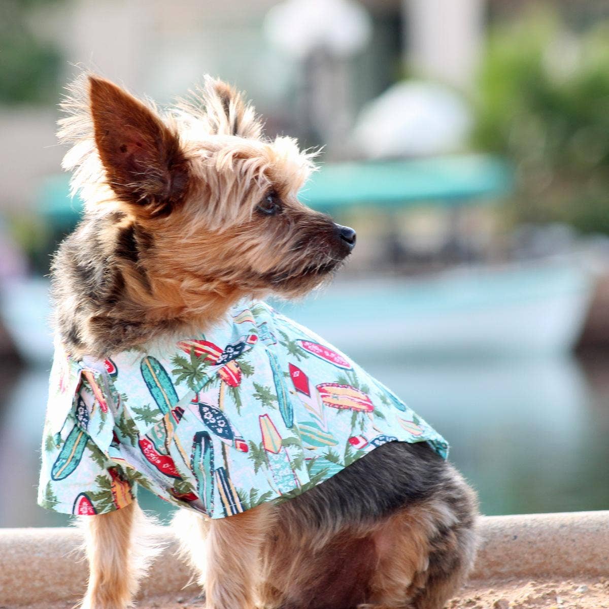 Hawaiian Camp Shirt - Surfboards and Palms: X-Small