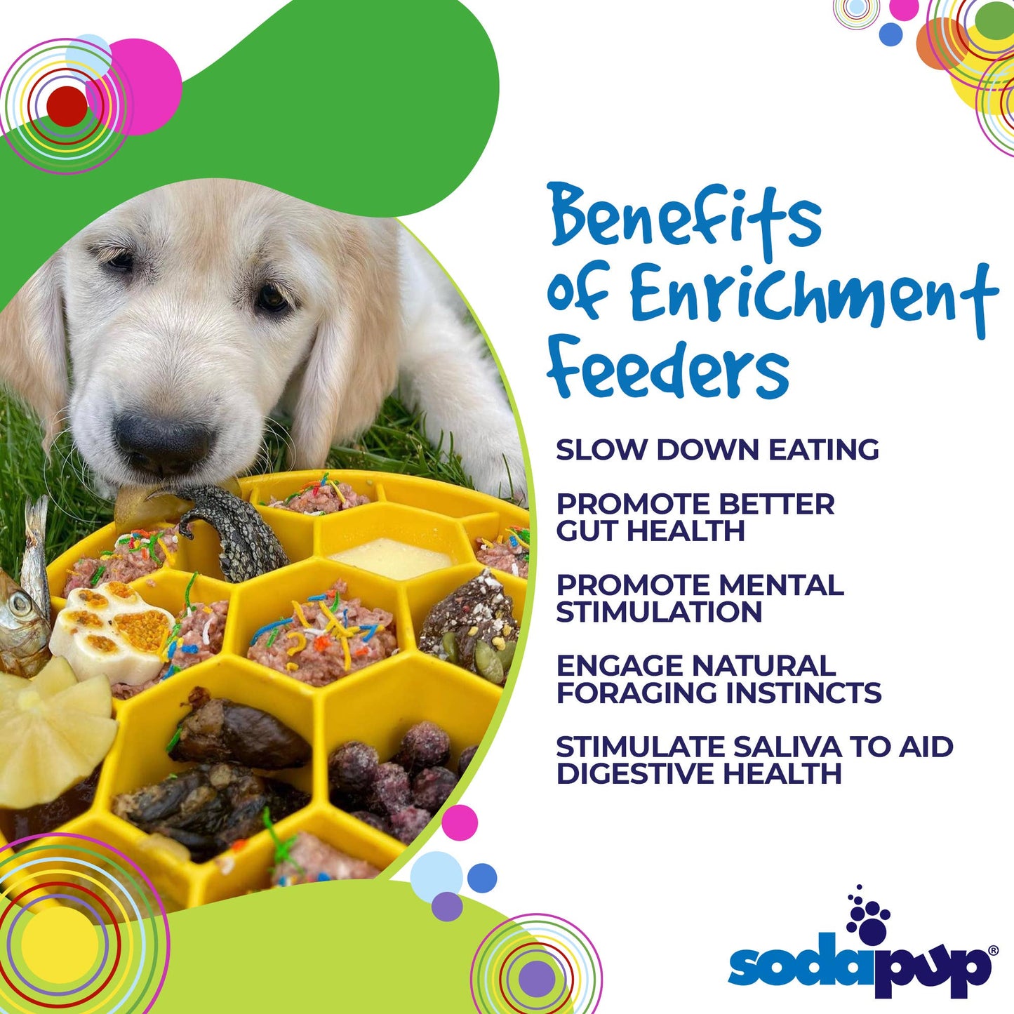 Honeycomb Design eBowl Enrichment Slow Feeder Bowl for Dogs: Blue
