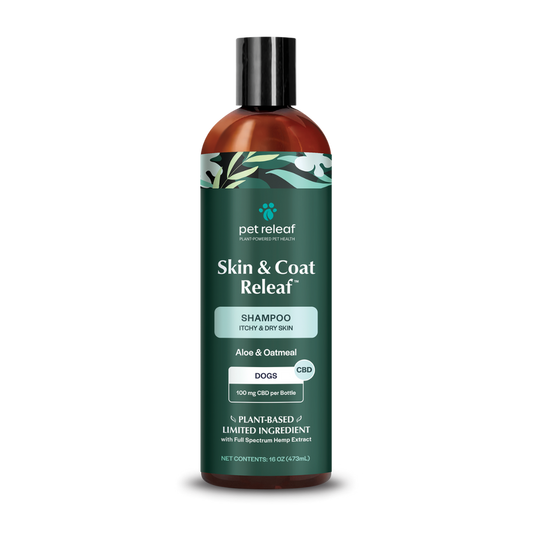 Itchy & Dry Skin CBD Shampoo for Dogs