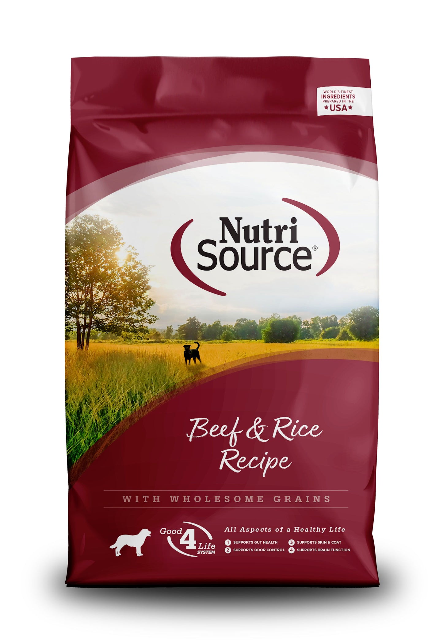 NutriSource Beef & Brown Rice Recipe with Wholesome Grains Dry Dog Food, 4-lb