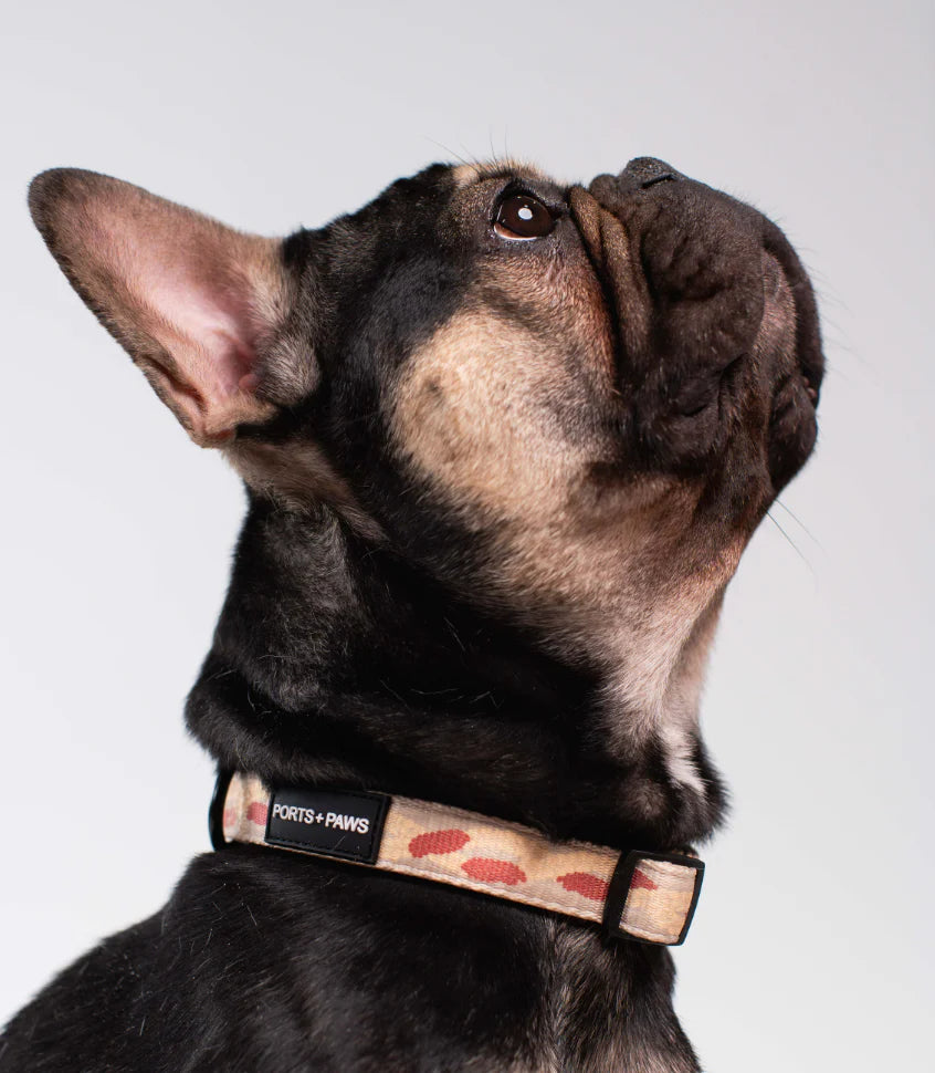 PORTS + PAWS COLLAR - NIʻIHAU PŪPŪ SHELL