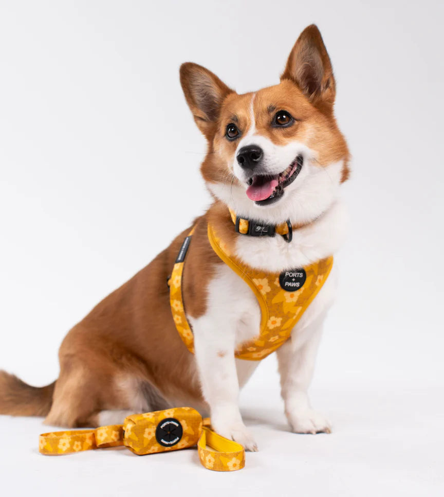 PORTS + PAWS POOP BAG HOLDER - OʻAHU ʻILIMA