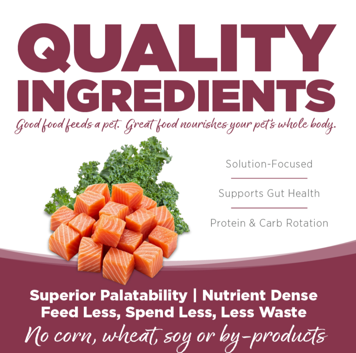 Pure Vita Dog Grain Free Salmon & Kale 4lbs