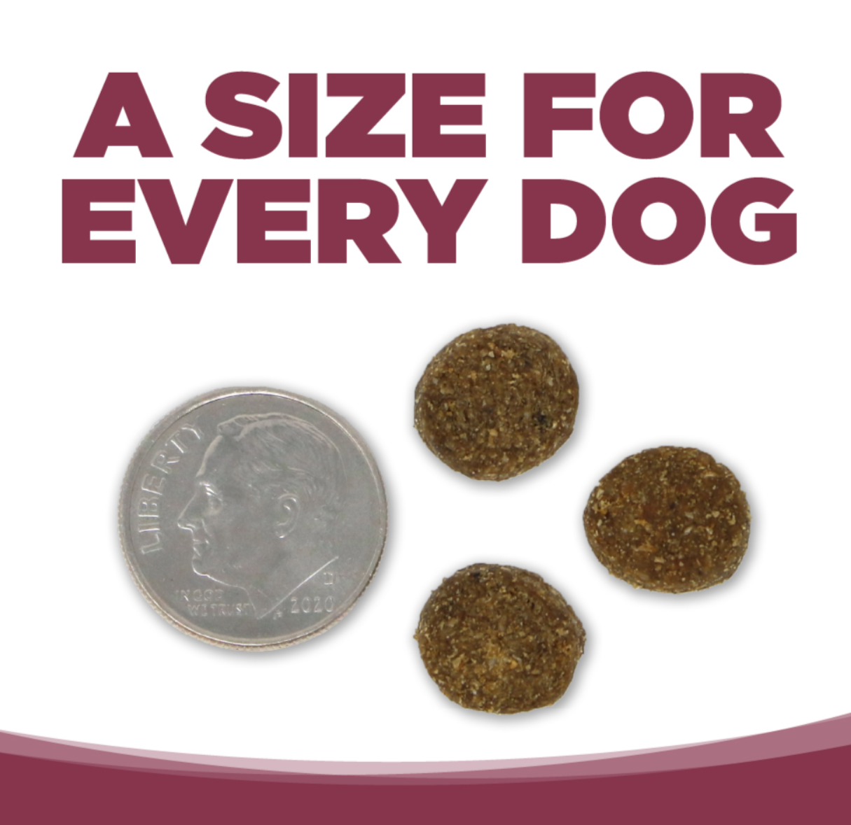Pure Vita Dog Grain Free Salmon & Kale 4lbs
