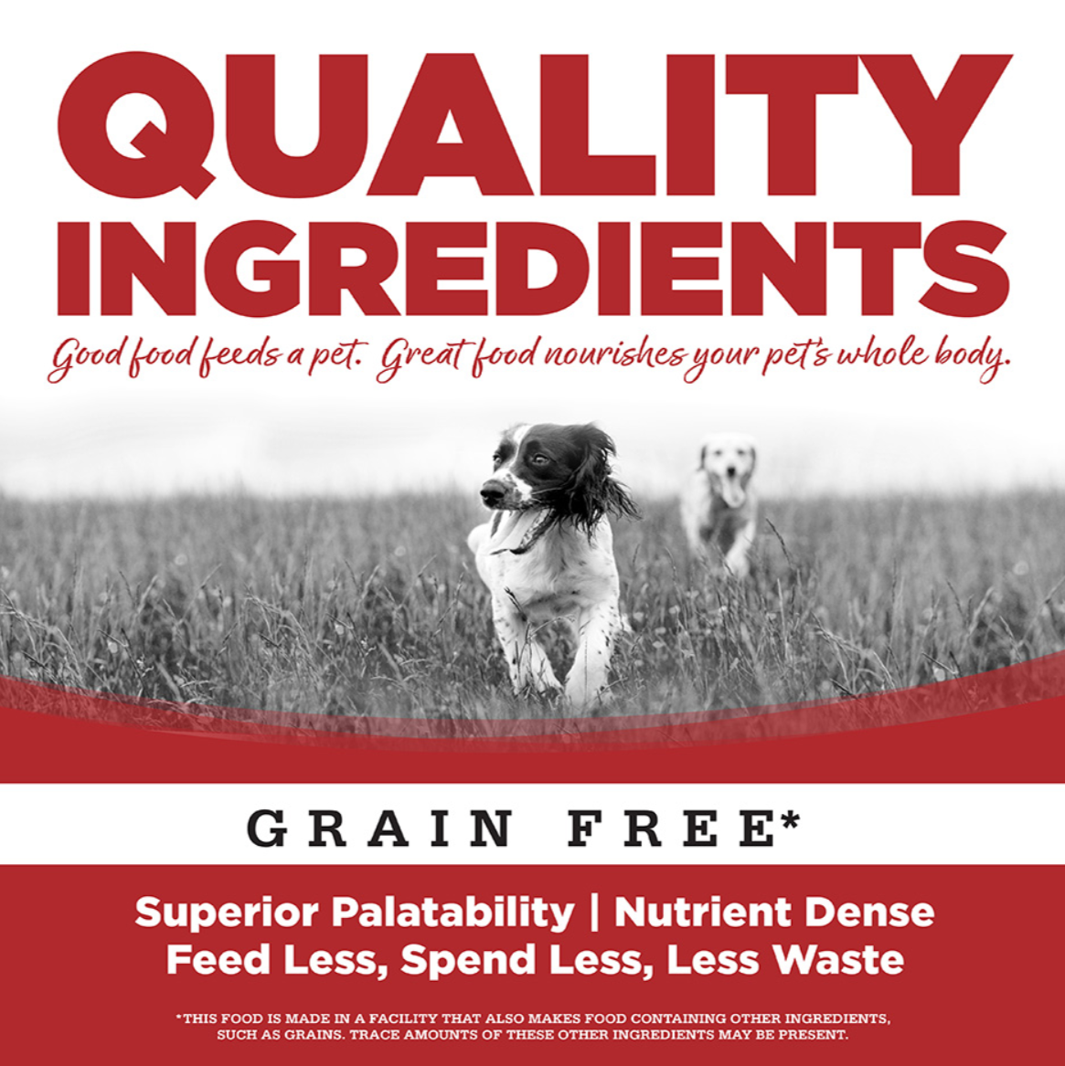 PURE VITA DOG GRAIN FREE BEEF ENTREE 12.3OZ