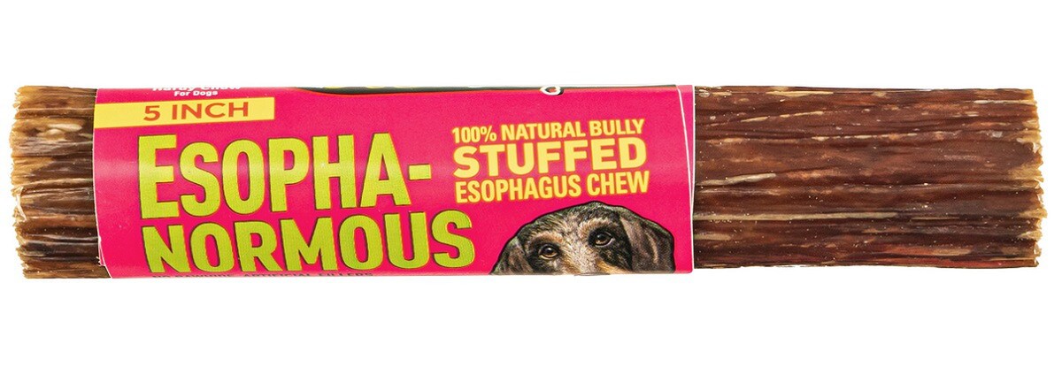Etta Says! Esopha-normous Bully Stuffed Esophagus Chew Indiv. 5"