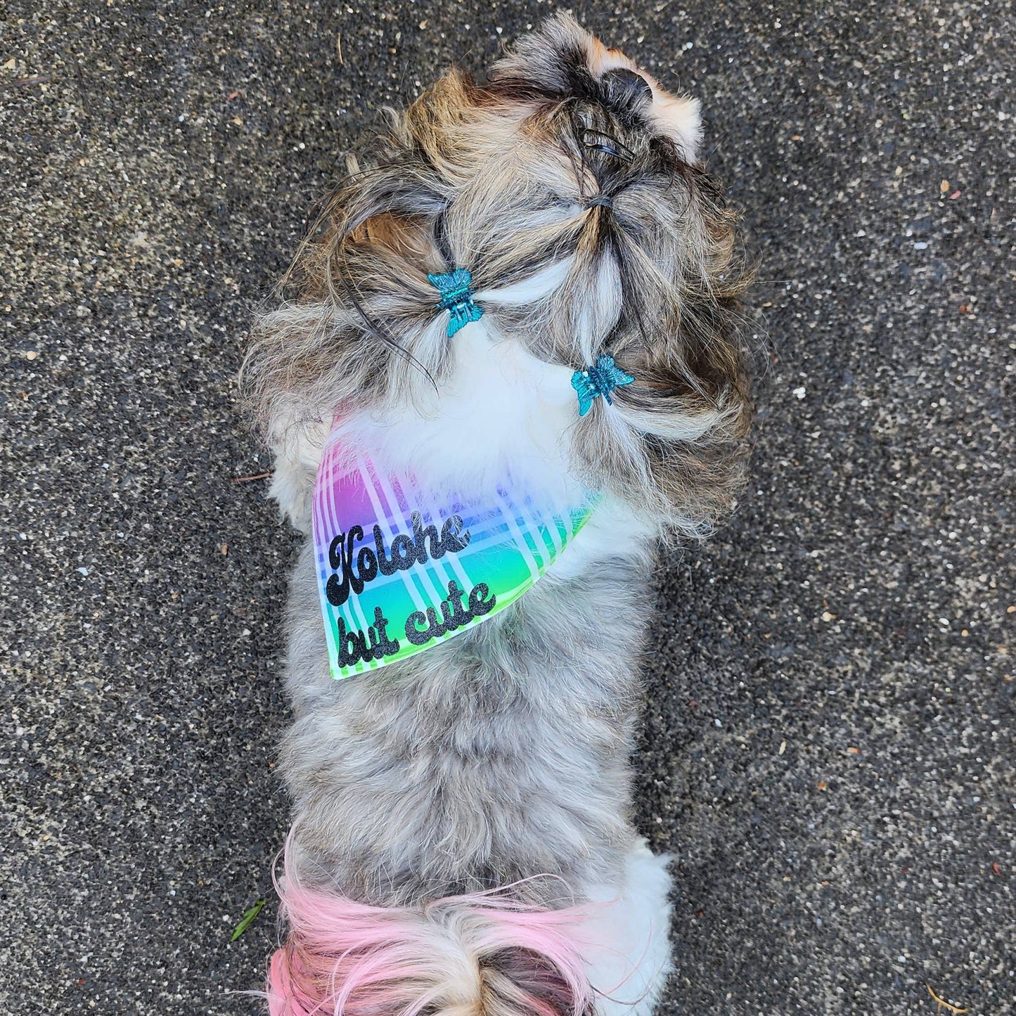 GigiWhy Pet Scrunch Bandana- Shave Ice/Kolohe Rainbow Palaka: X Small