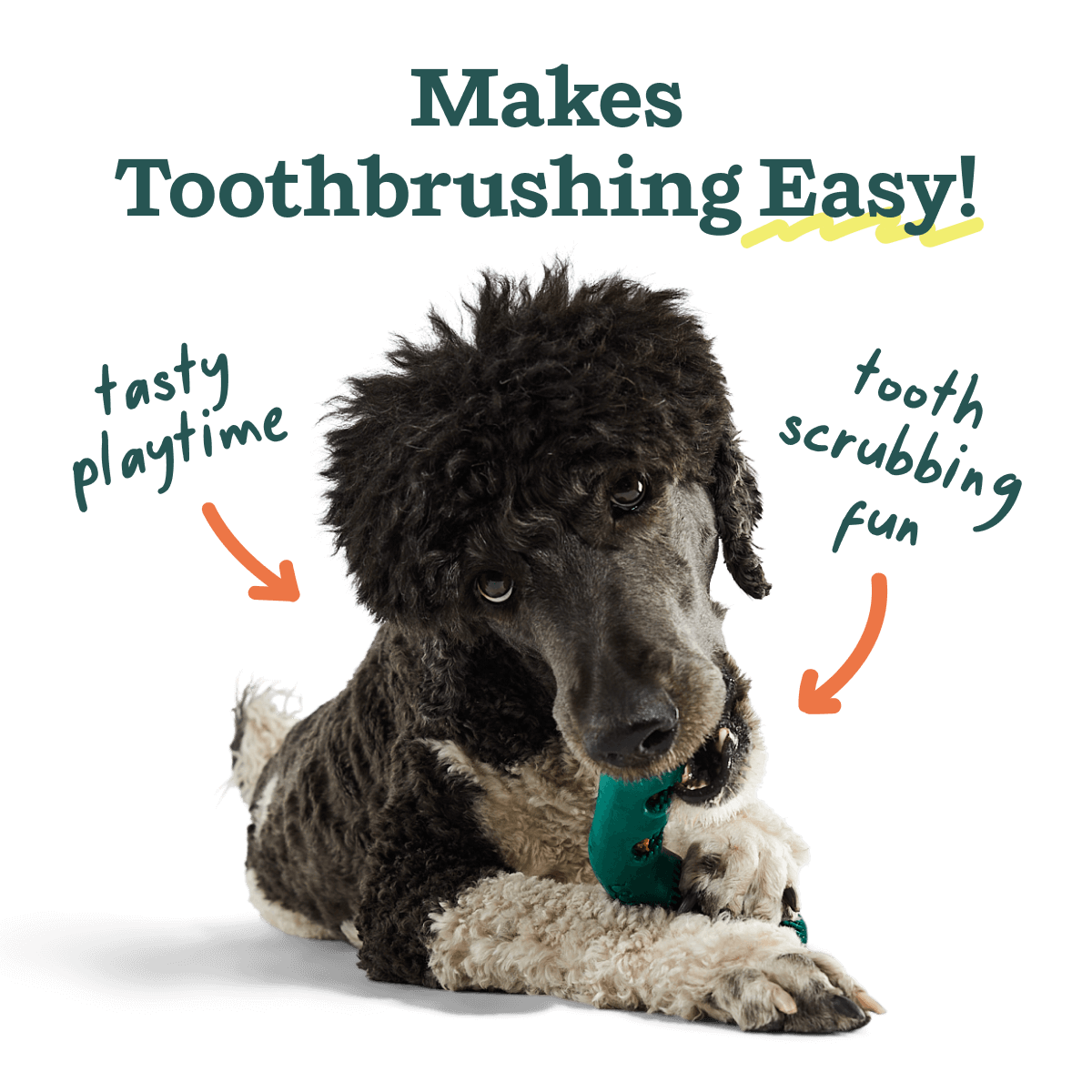 The Bite n' Brush: Small