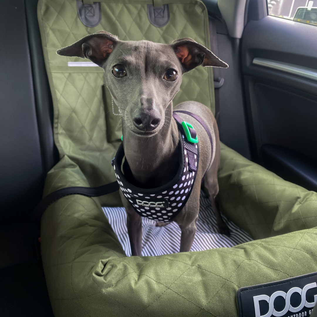 Car Seat - GREEN *NEW* (Small to Medium Breeds)