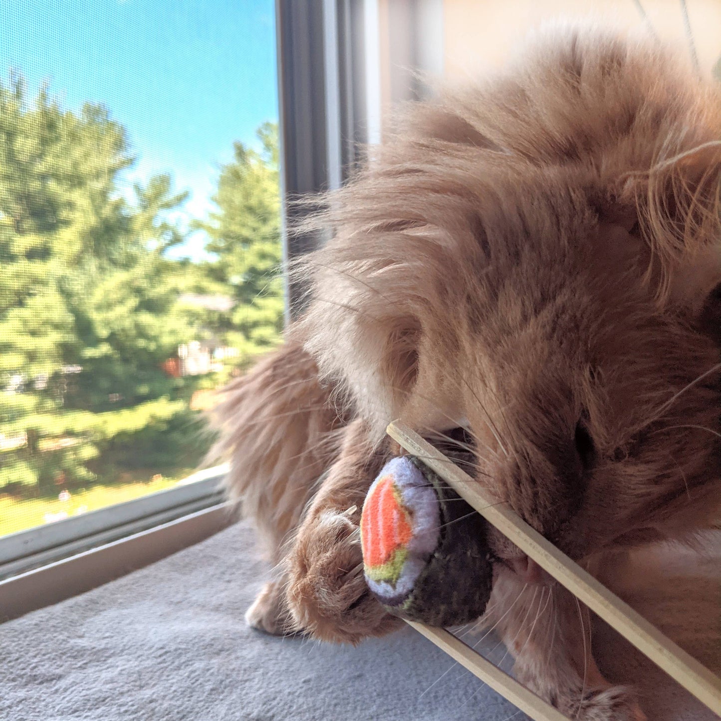 Classic Sushi Cat Toy: One Size