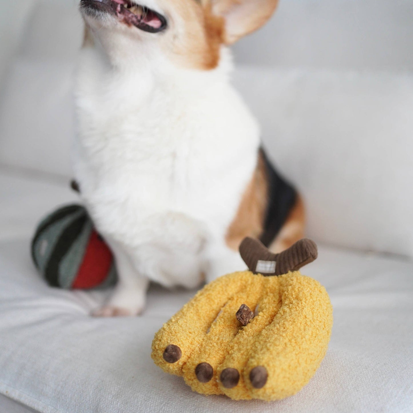 BANANA// ENRICHMENT TOY SET// SNUFFLE TOY