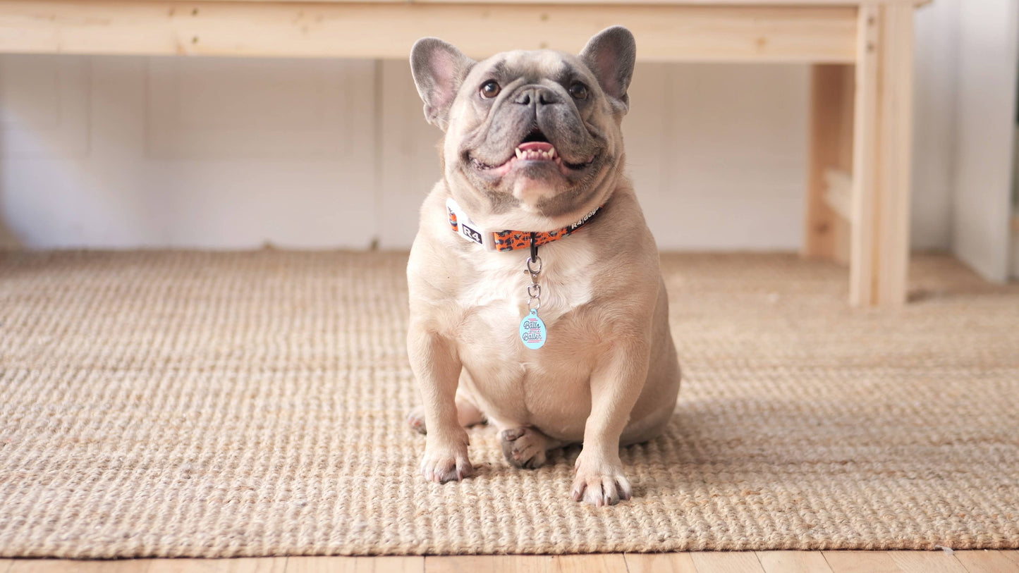 Personalized Pet ID Tag w/QR Code - No Balls Still a Baller : Engraved QR Code / Large 1.25"