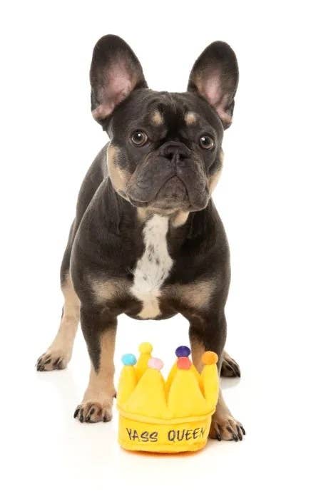 FuzzYard Yass Queen Crown Plush Dog Toy