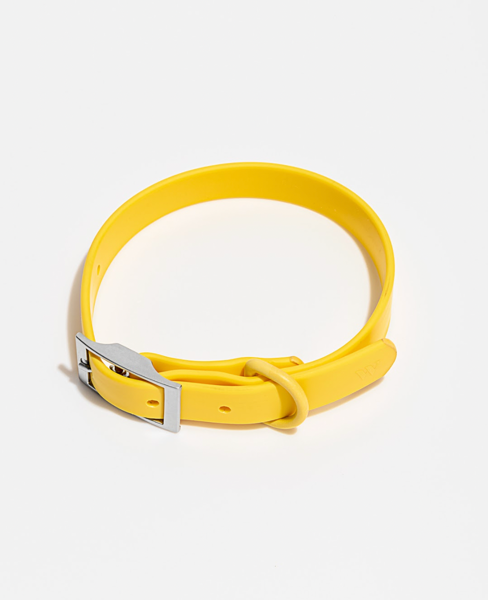 Adjustable Waterproof Fashion Dog Collar: Moonstone / X-SMALL