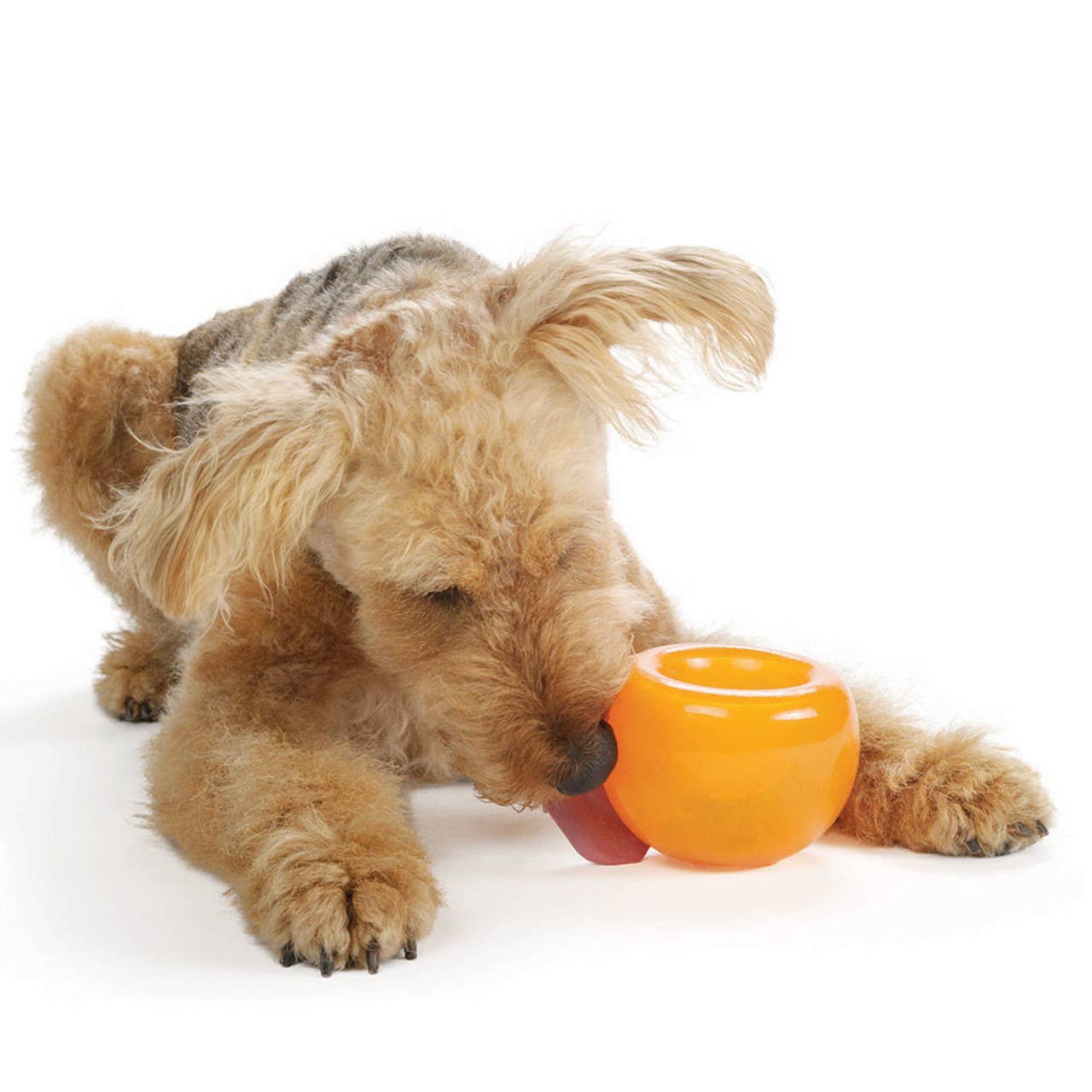 Planet Dog Orbee-Tuff Snoop Treat-Dispensing Dog Toy Orange