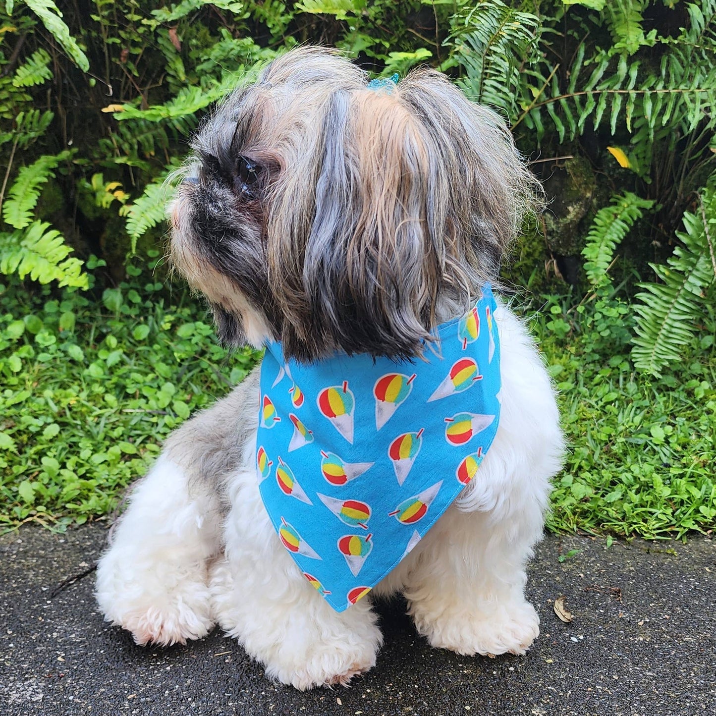 GigiWhy Pet Scrunch Bandana- Shave Ice/Kolohe Rainbow Palaka: X Small