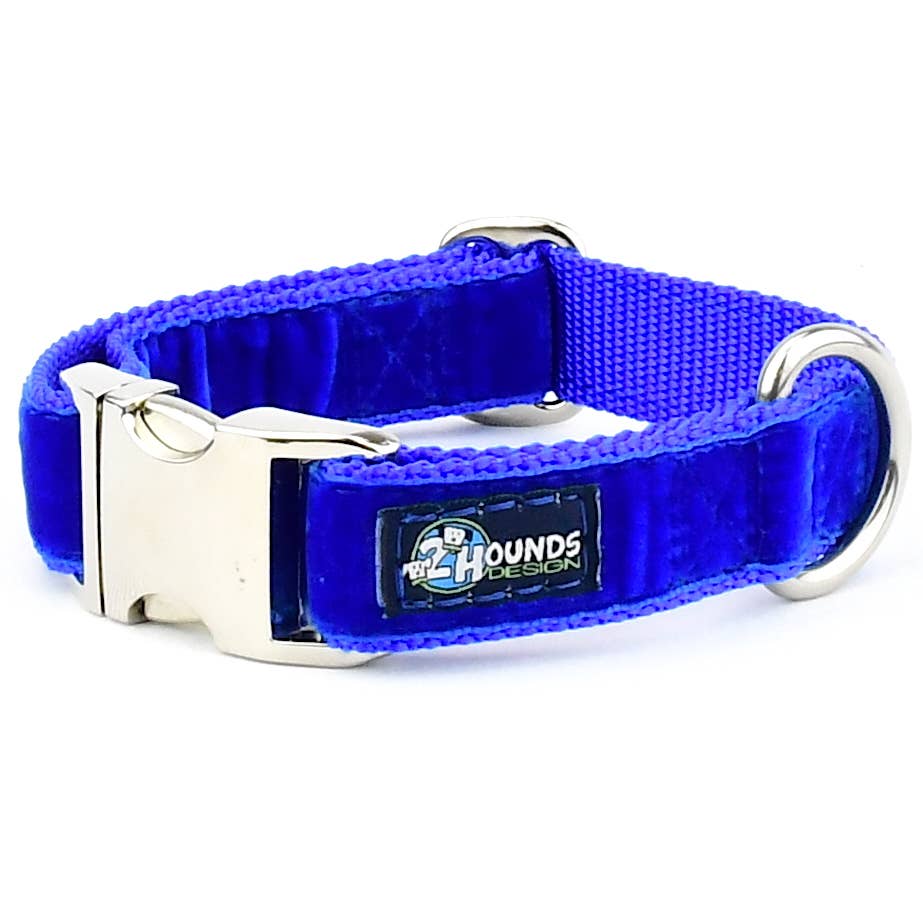 Royal Blue Swiss Velvet Essential Dog Collar: Martingale Collar / No thanks. / Small (10 - 14 inches)