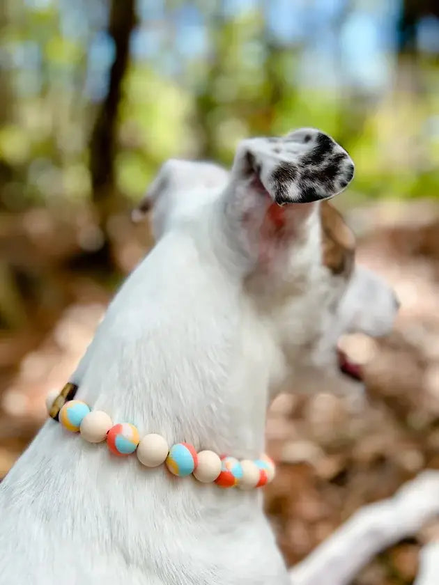 Surf's Up! | Beaded Dog Collar: 24"