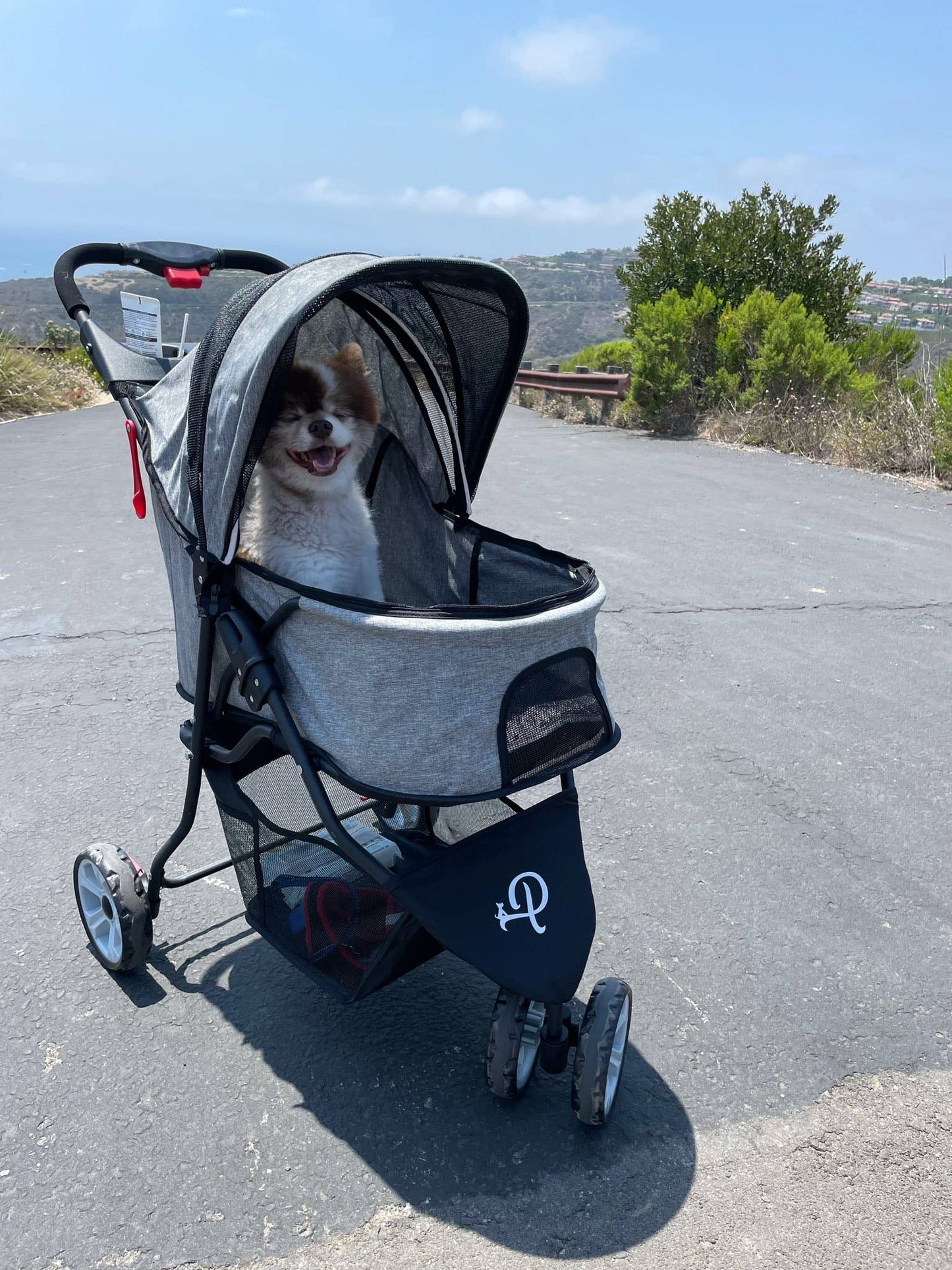 Glacier Pet Stroller