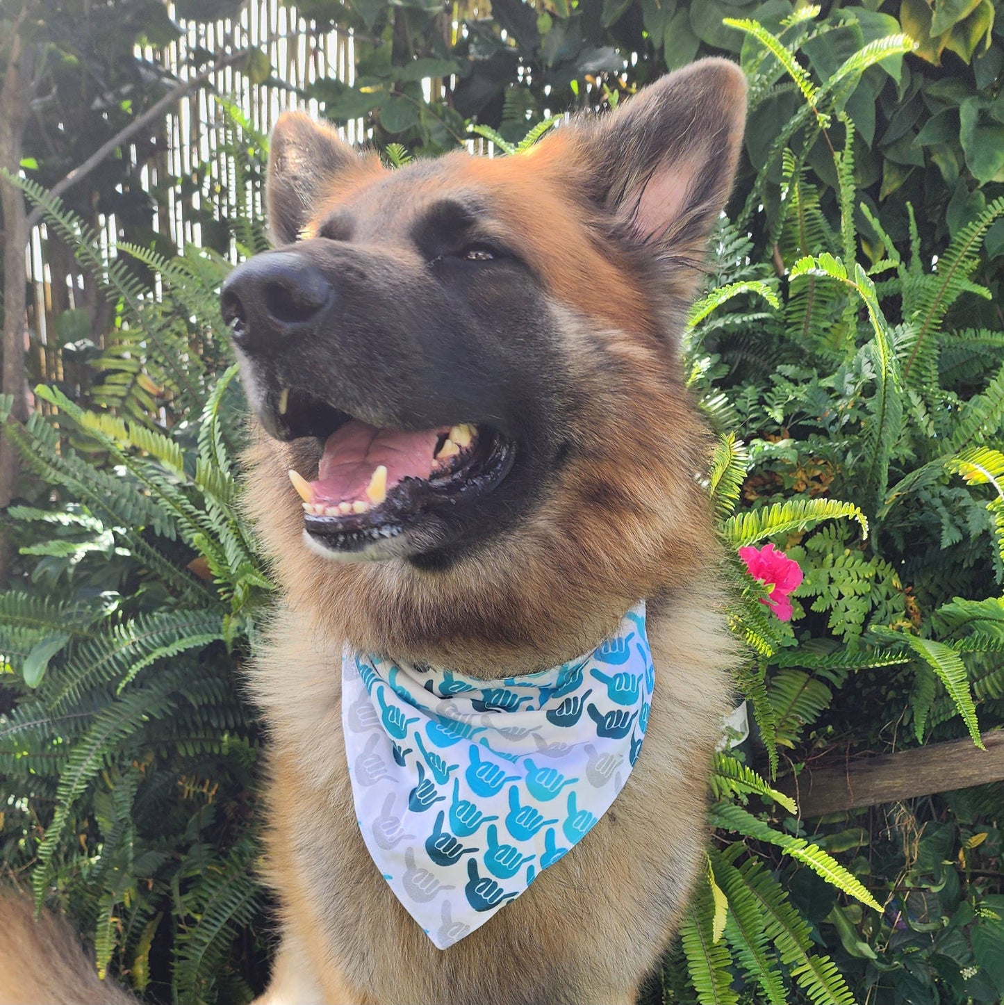 GigiWhy Reversible Pet Scrunch Bandana- Sharks & Shakas: Small