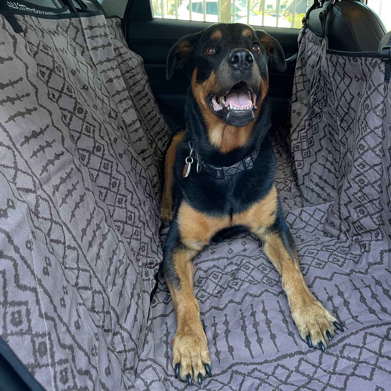 Multi Use Hammock Cargo and Car Seat Cover: Dreams