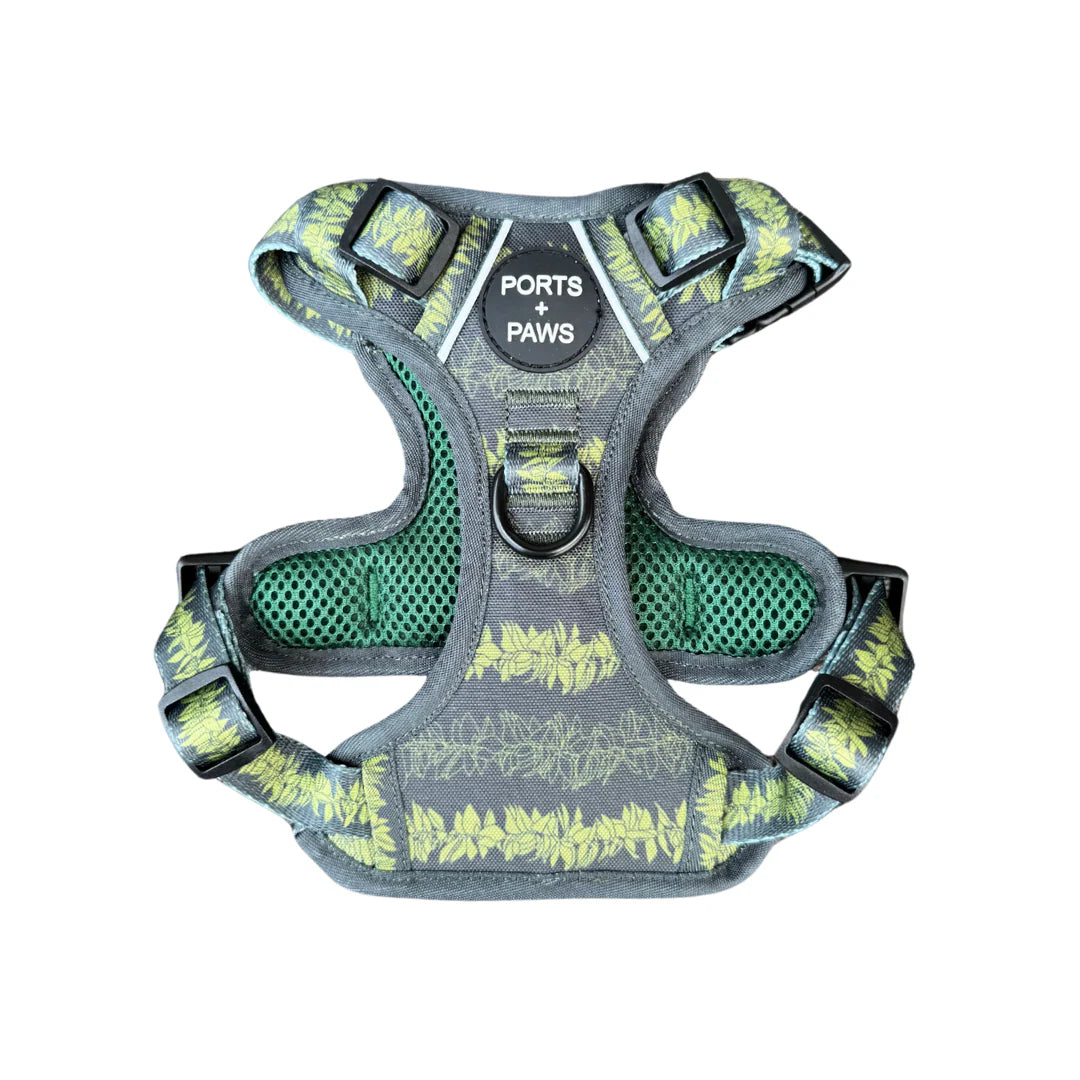 PORTS + PAWS RUGGED HARNESS - MAILE