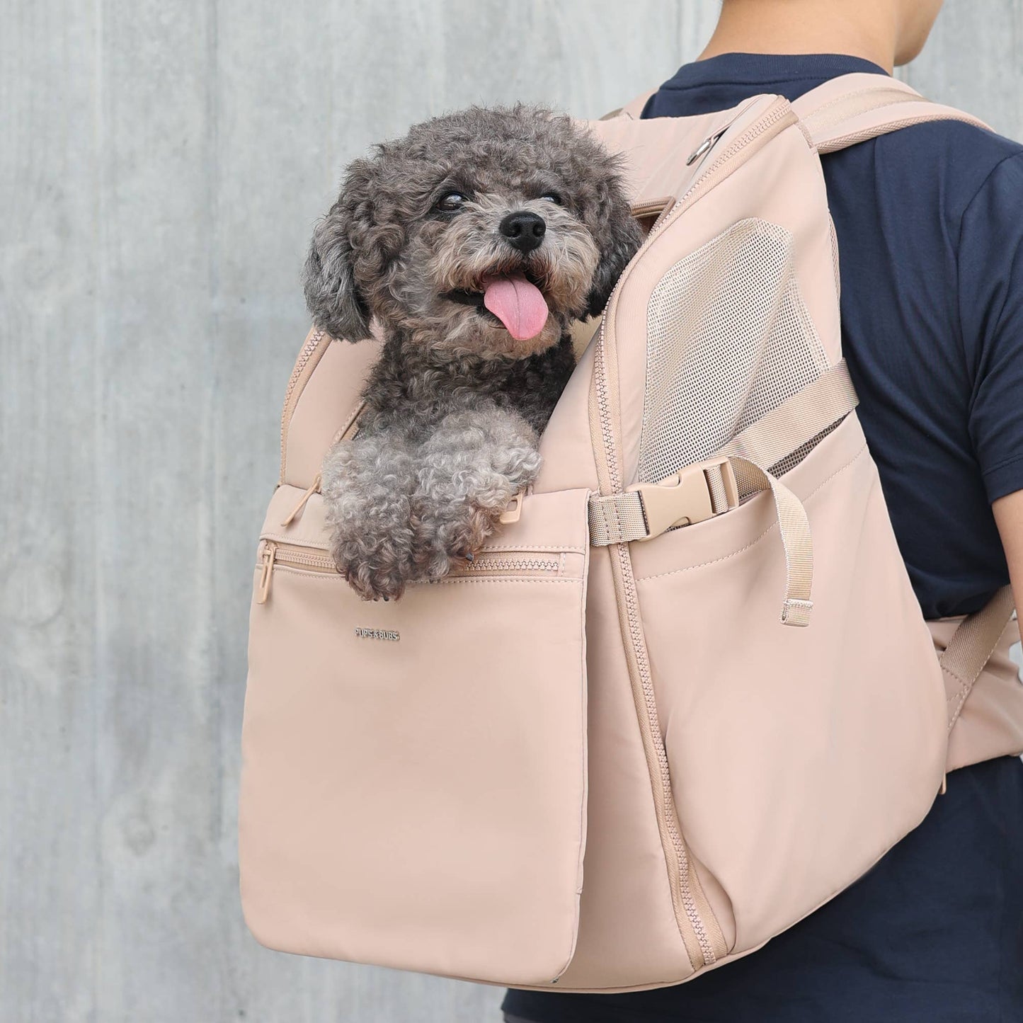 Traveler Pet Carrier Backpack | Dog Carrier | Cat Carrier: Desert